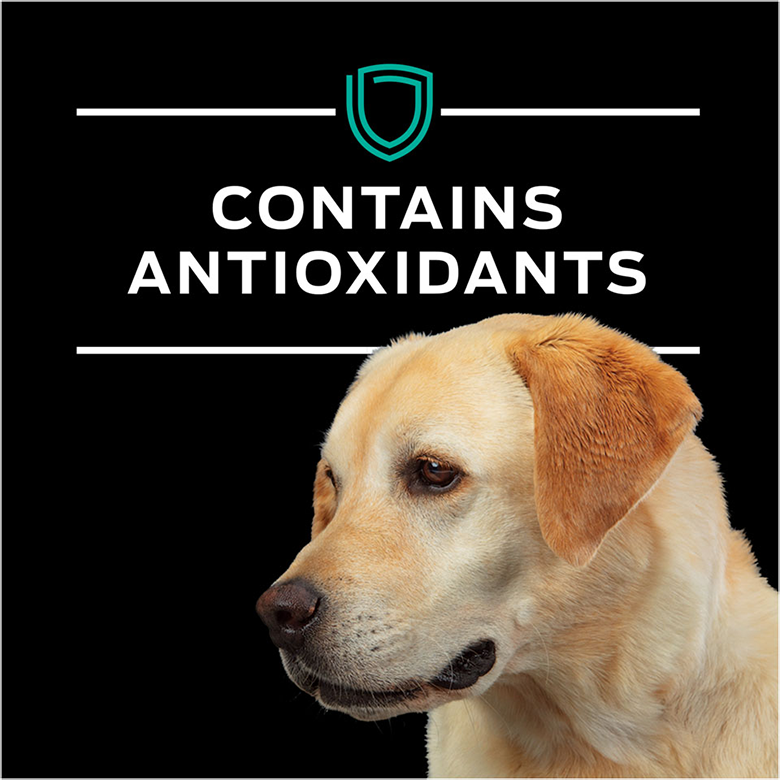 canine-en-lf-wet-fb4.png