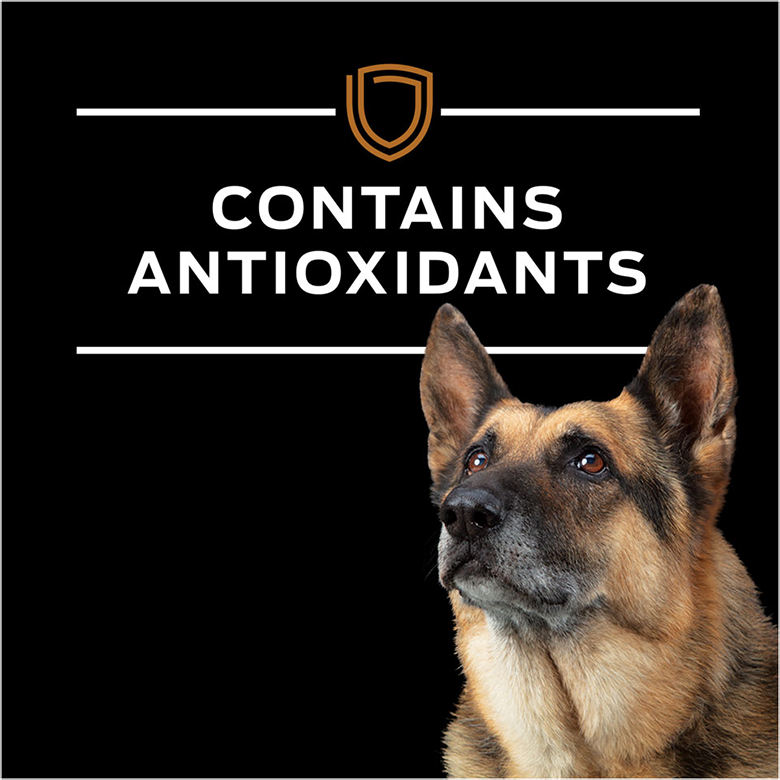 canine-nf-wet-fb4.png