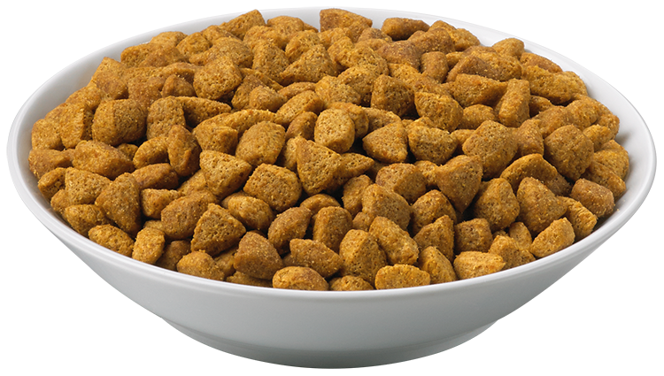 feline-ur-dry-2_1.png