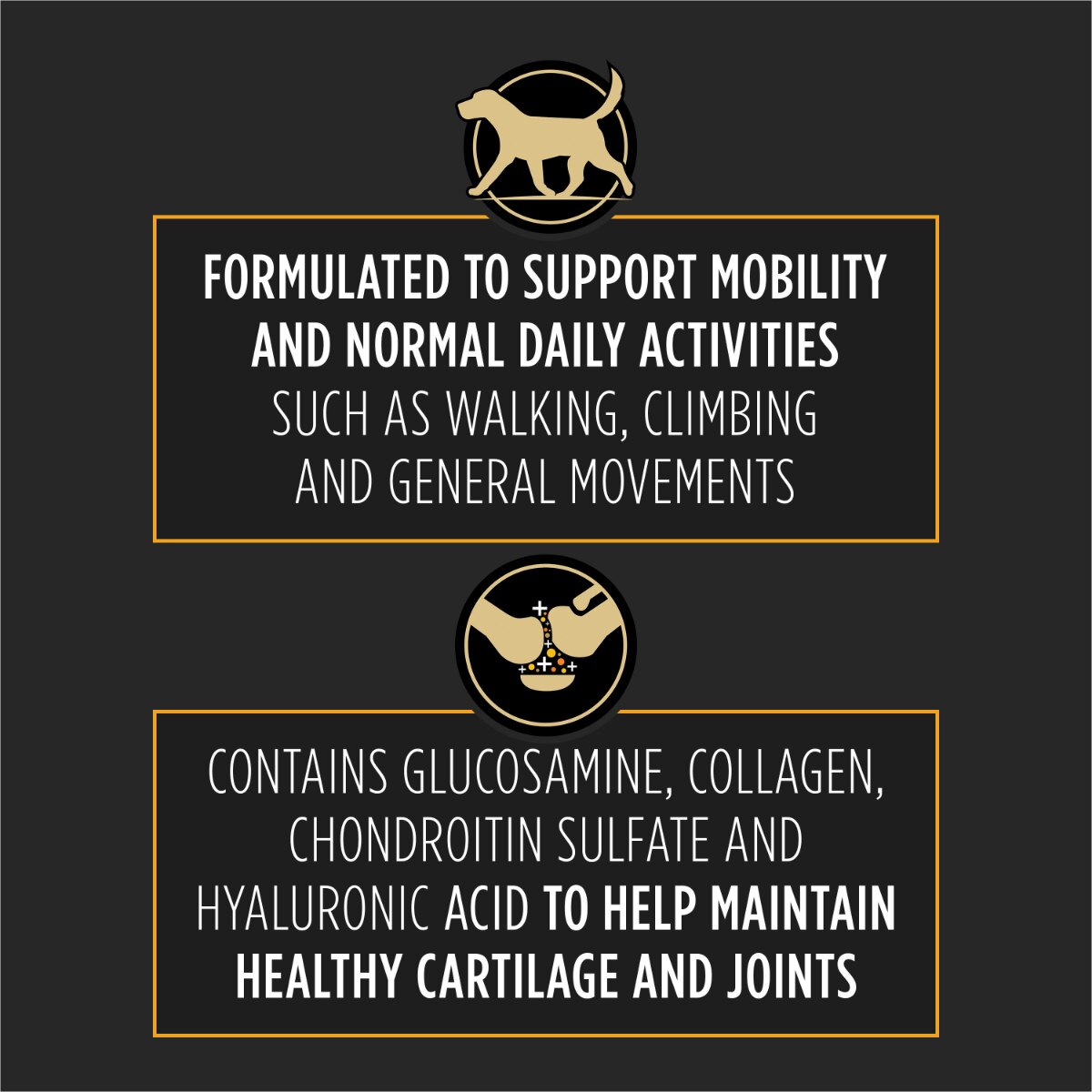 joint_care_feature_benefit_1_1.jpg