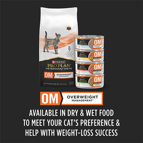 ppvd_cat_wet_om_ss_5_500x500_1.jpg