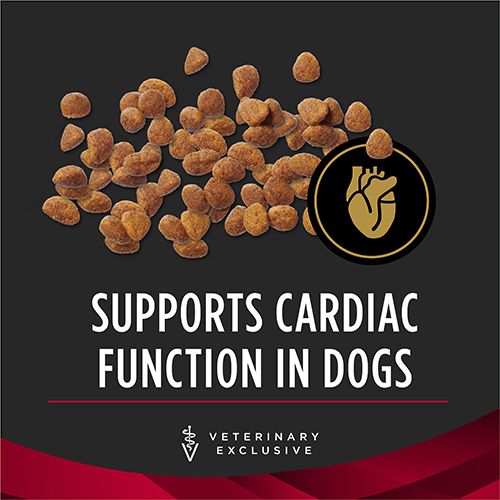ppvd_dog_dry_cc_1_500x500.jpg