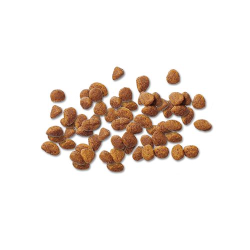ppvd_dog_dry_cc_prod_500x500.jpg
