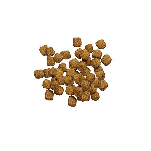ppvd_dog_dry_en_fb_product_500x500.jpg