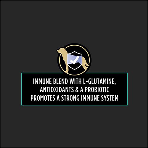 ppvd_dog_multicare_supplement_3_500x500.jpg
