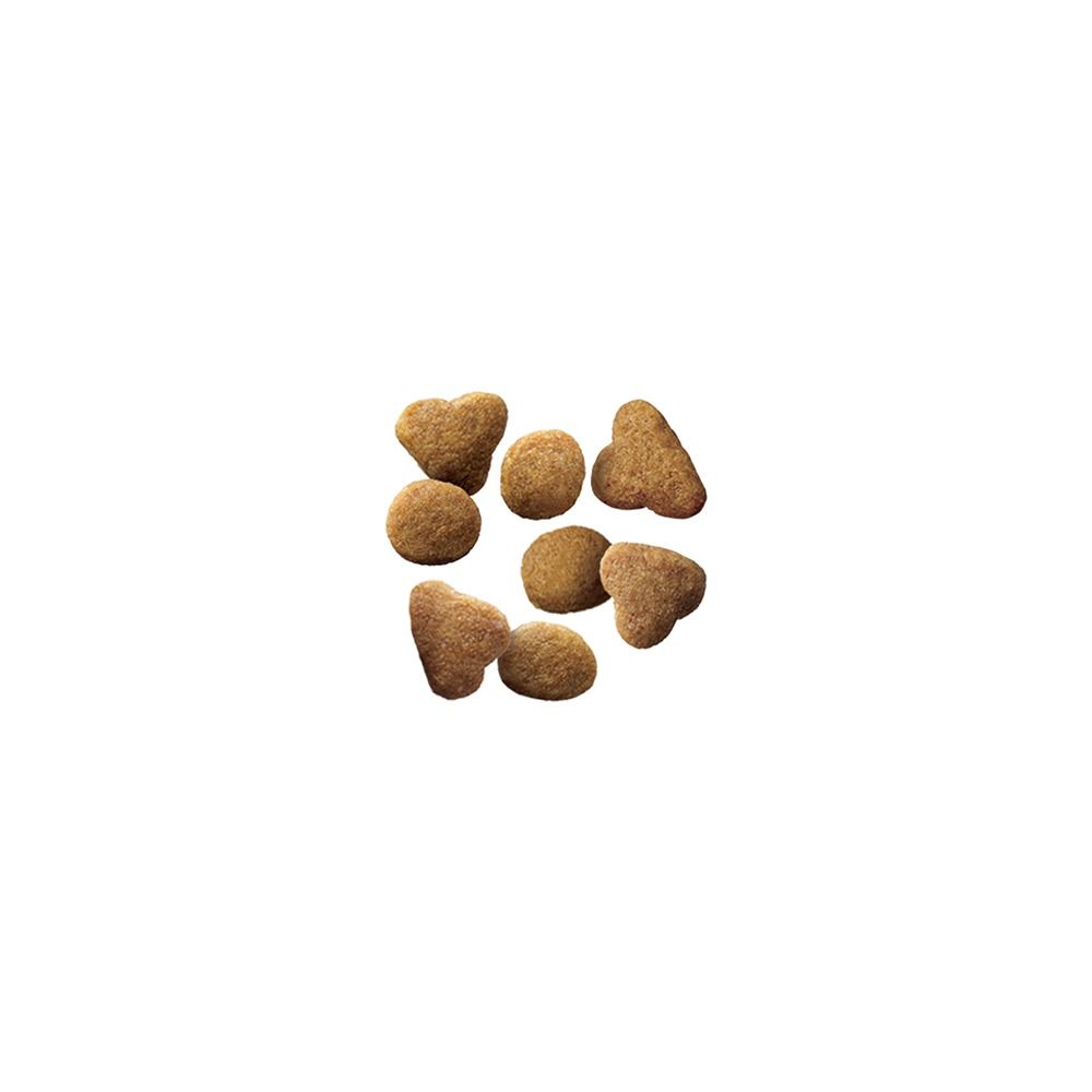 pro-plan-adult-indoor-hairball-turkey-dry-cat-food-bite-size-kibble-pieces.jpg