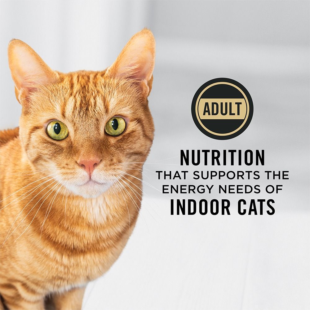 pro-plan-adult-indoor-hairball-turkey-rice-dry-cat-food-ad-nutrition-supports-indoor-cats.jpg