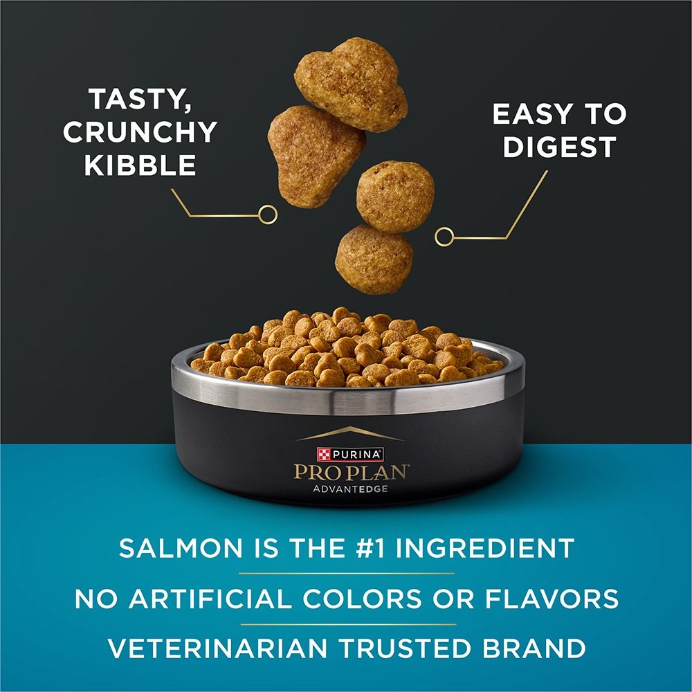 pro-plan-advantedge-digestive-support-adult-dry-cat-food-tasty-salmon.jpg