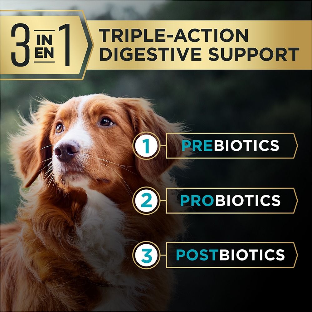 pro-plan-advantedge-digestive-support-dry-dog-food-triple-action_1.jpg