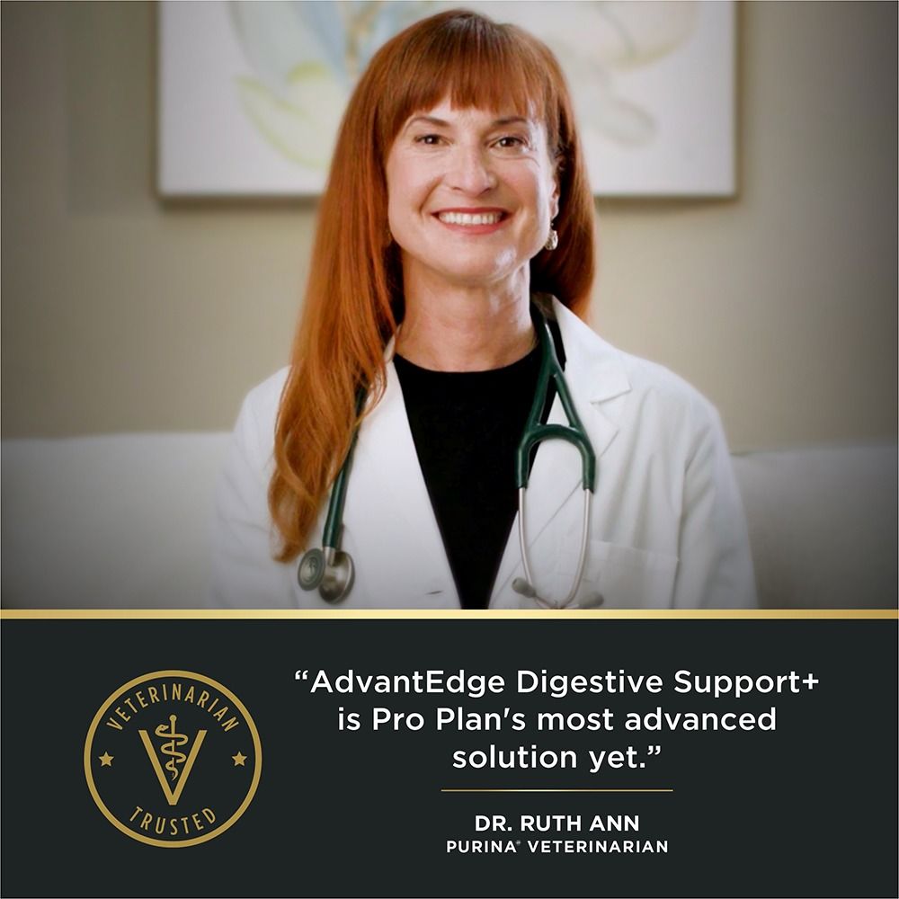 pro-plan-advantedge-digestive-support-dry-food-veterinarian-recommended_1.jpg
