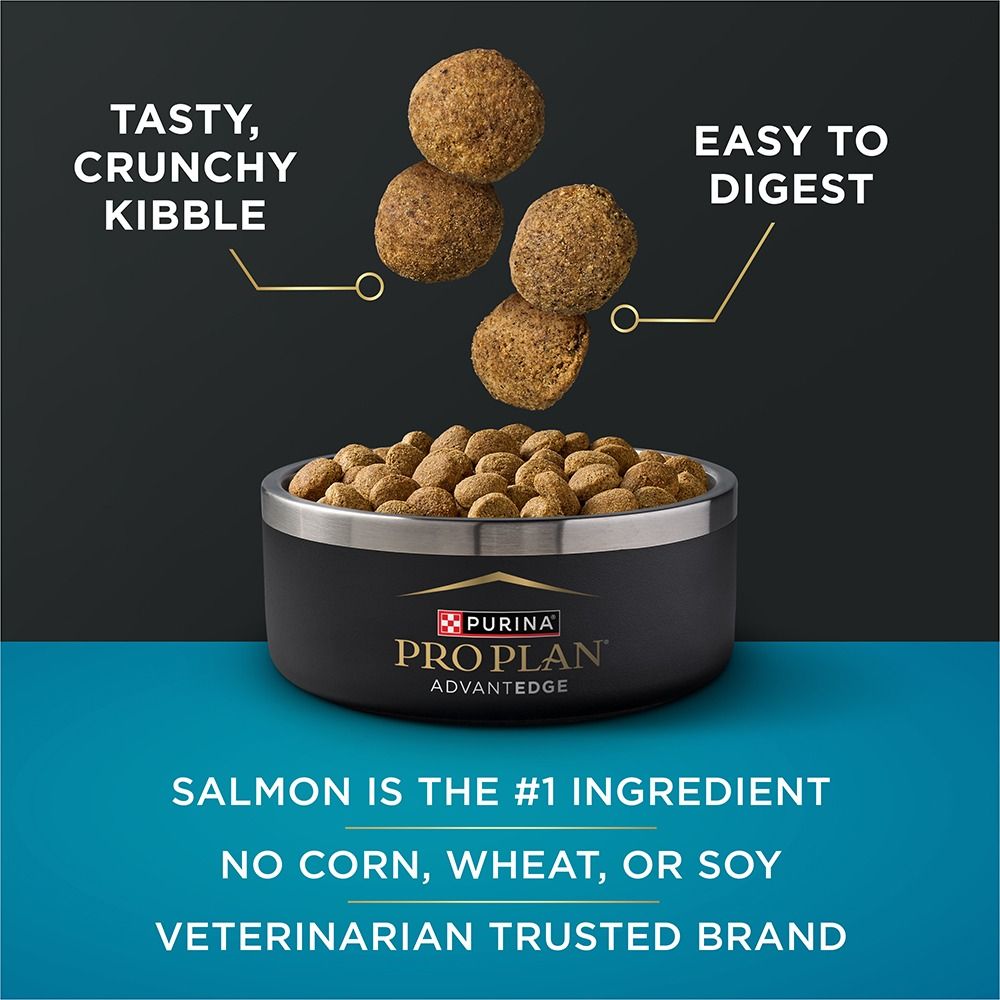 pro-plan-advantedge-digestive-support-large-breed-dry-dog-food-tasty-salmon.jpg