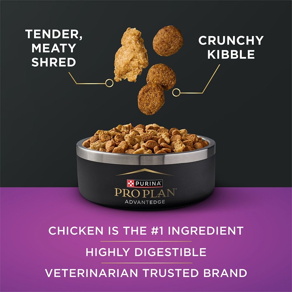 pro-plan-advantedge-senior-support-dry-dog-food-tasty-chicken_2.jpg