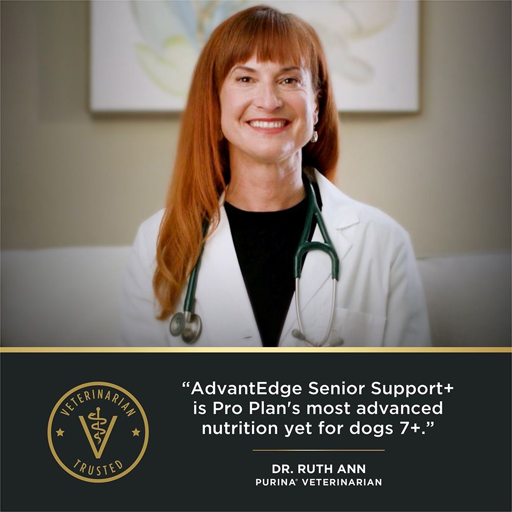 pro-plan-advantedge-senior-support-dry-dog-food-vet-approved_2.jpg