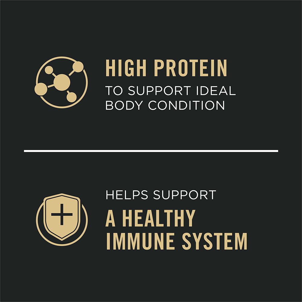 pro-plan-complete-essentials-wet-dog-food-high-protein-immune-system_2.jpg