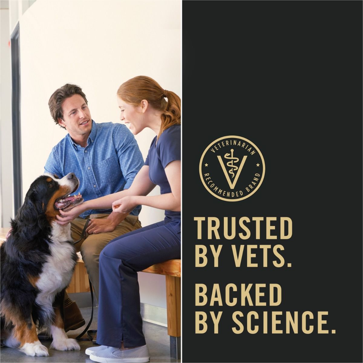 pro-plan-dog-food-trusted-by-vets_10_1.jpg