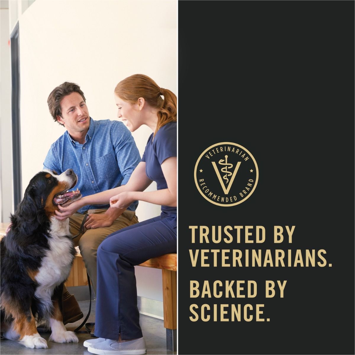 pro-plan-dog-food-trusted-by-vets_3.jpg