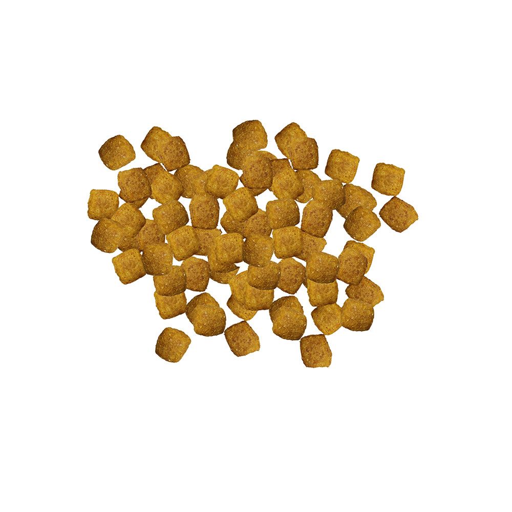 pro-plan-veterinary-diets-en-gastroenteric-kibble.jpg