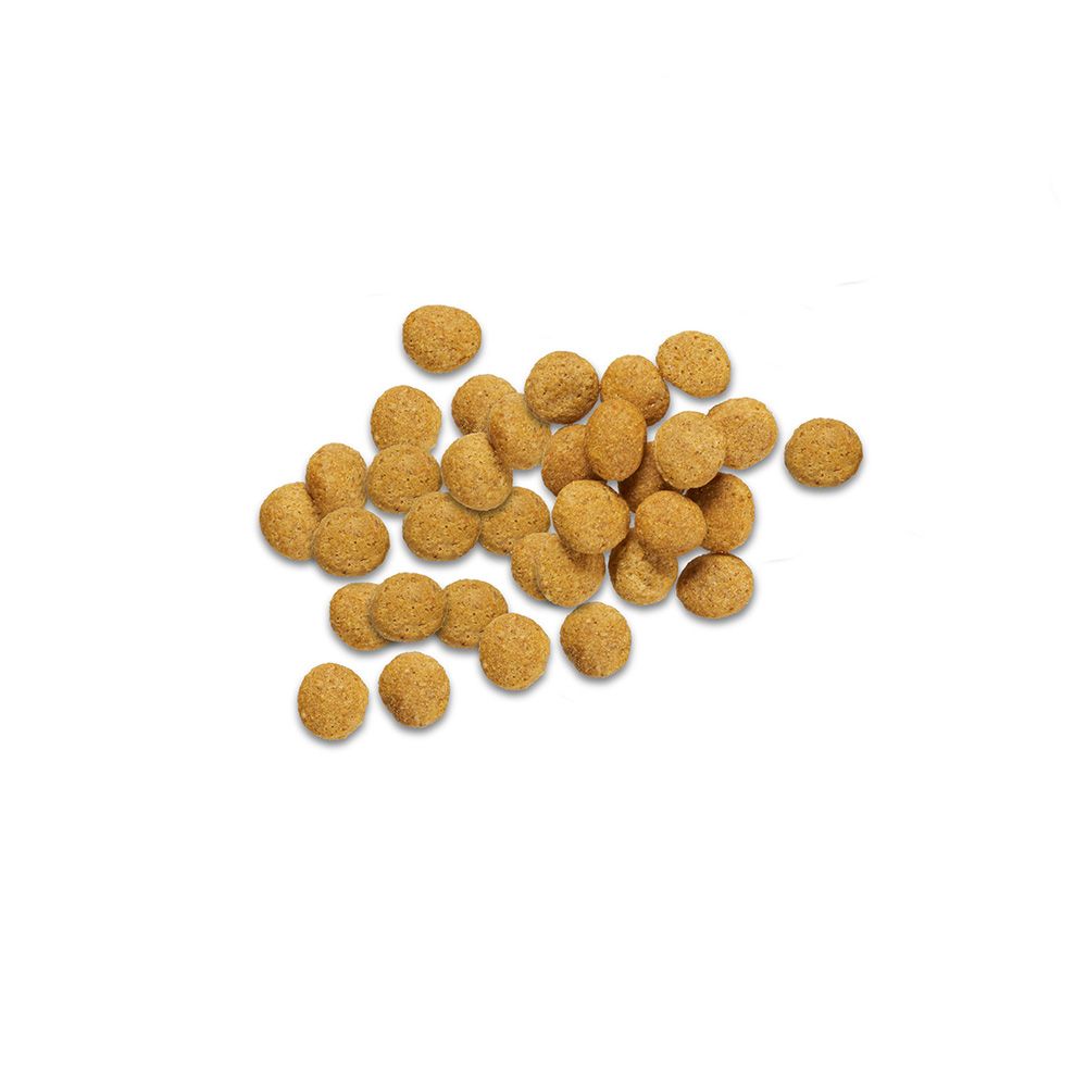 pro-plan-veterinary-diets-en-gastroenteric-low-fat-kibble.jpg