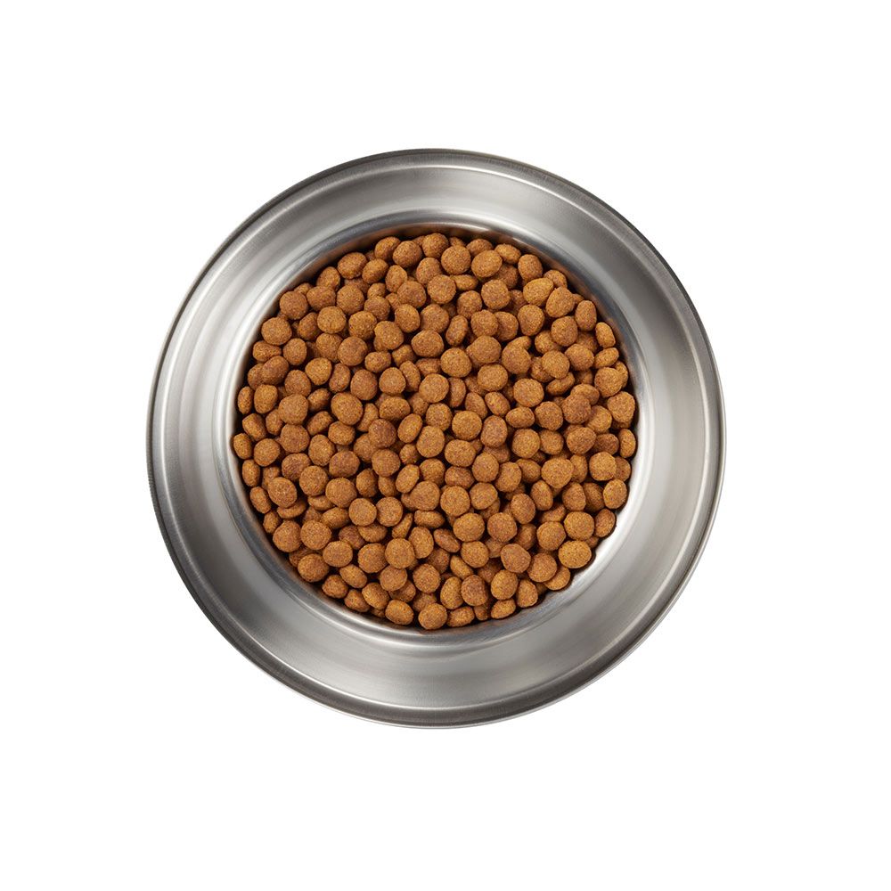 pro-plan-veterinary-diets-nc-neurocare-kibble.jpg