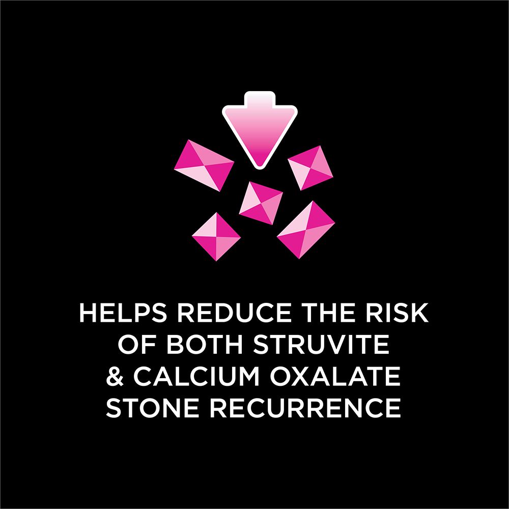 pro-plan-veterinary-diets-ur-savory-selects-salmon-reduce-risk.jpg