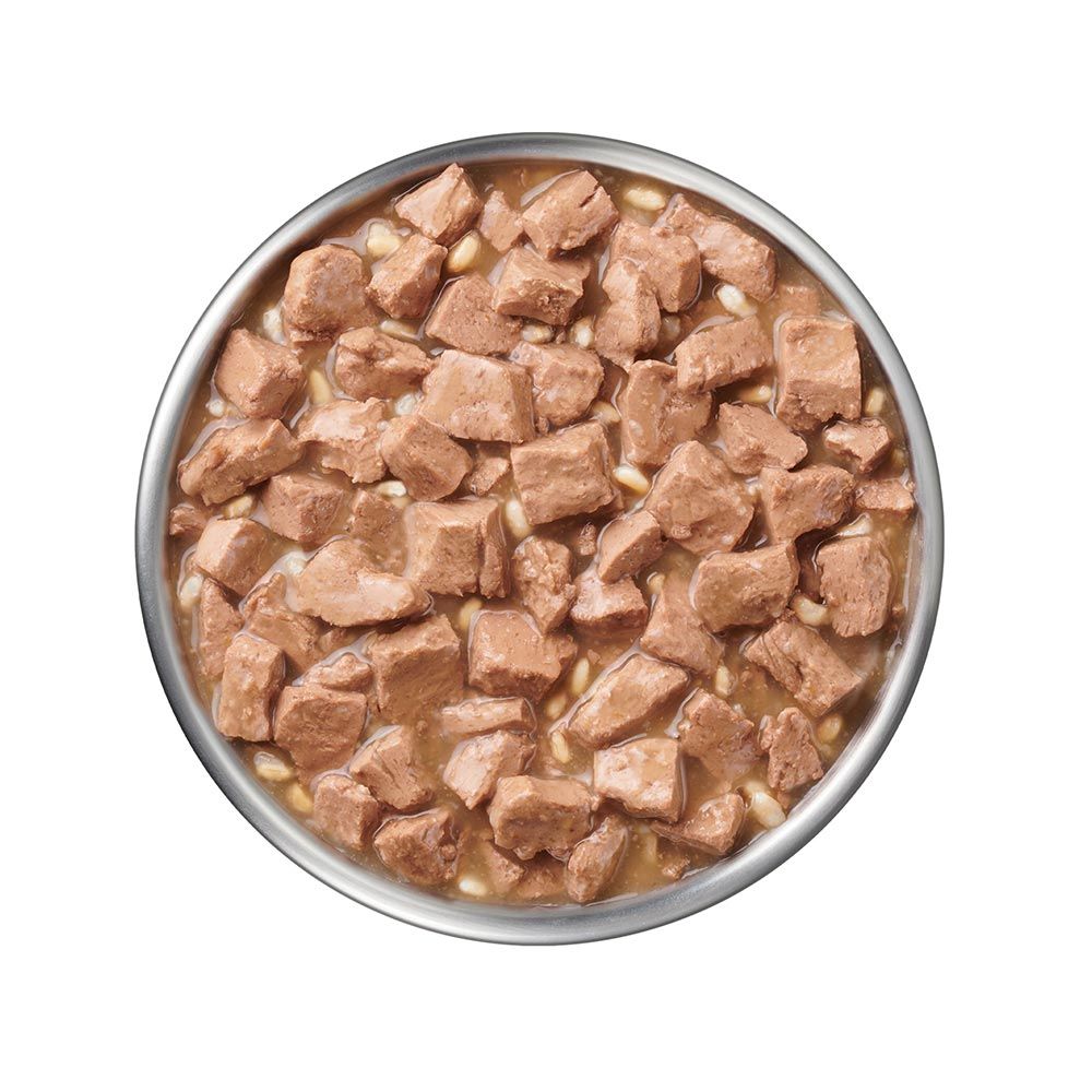 pro-plan-veterinary-diets-ur-savory-selects-salmon-wet-dog-food-in-gravy.jpg