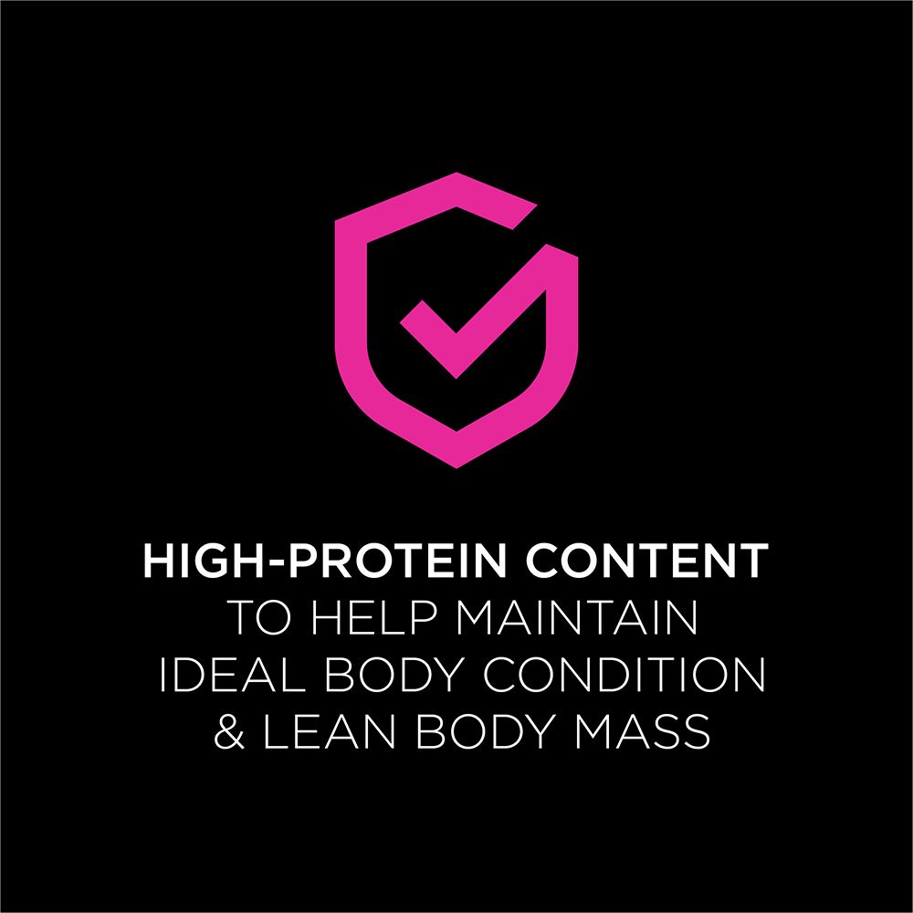 pro-plan-veterinary-diets-ur-urinary-feline-wet-high-protein.jpg