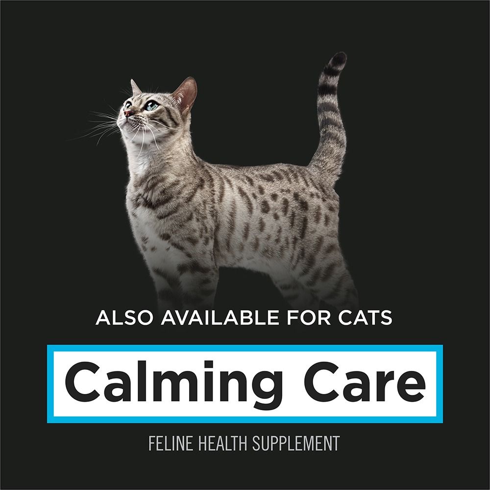 pro-plan-veterinary-supplements-calming-care-available-for-cats.jpg