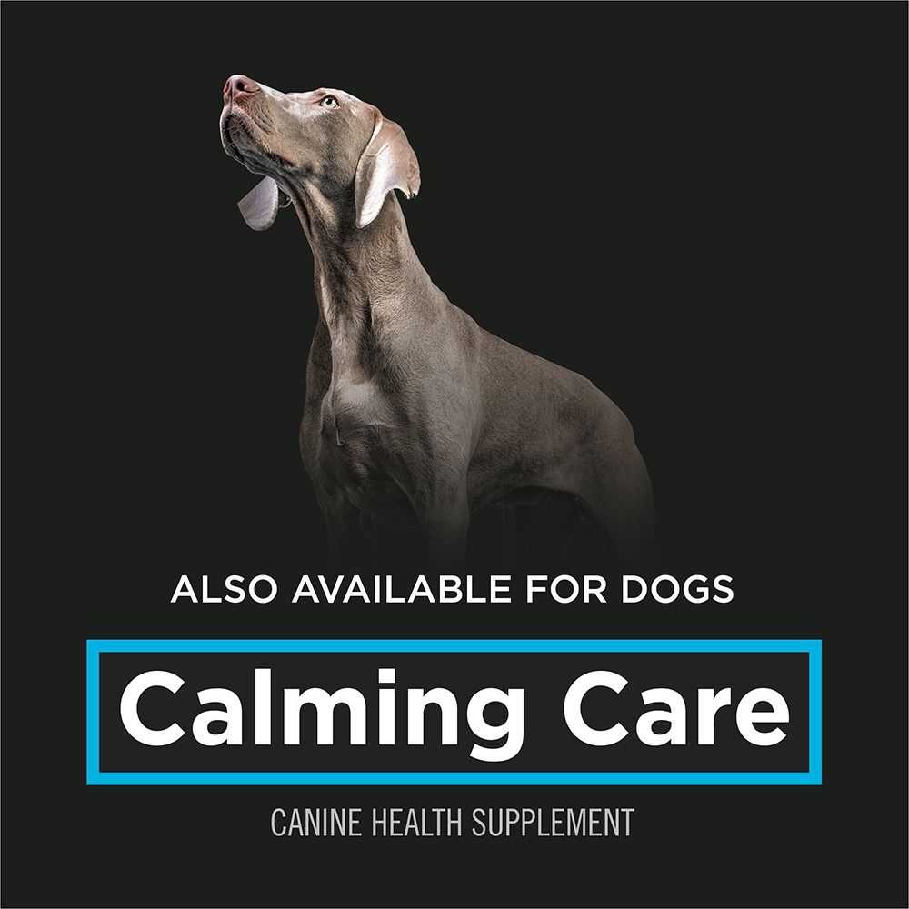 pro-plan-veterinary-supplements-calming-care-available-for-dogs.jpg