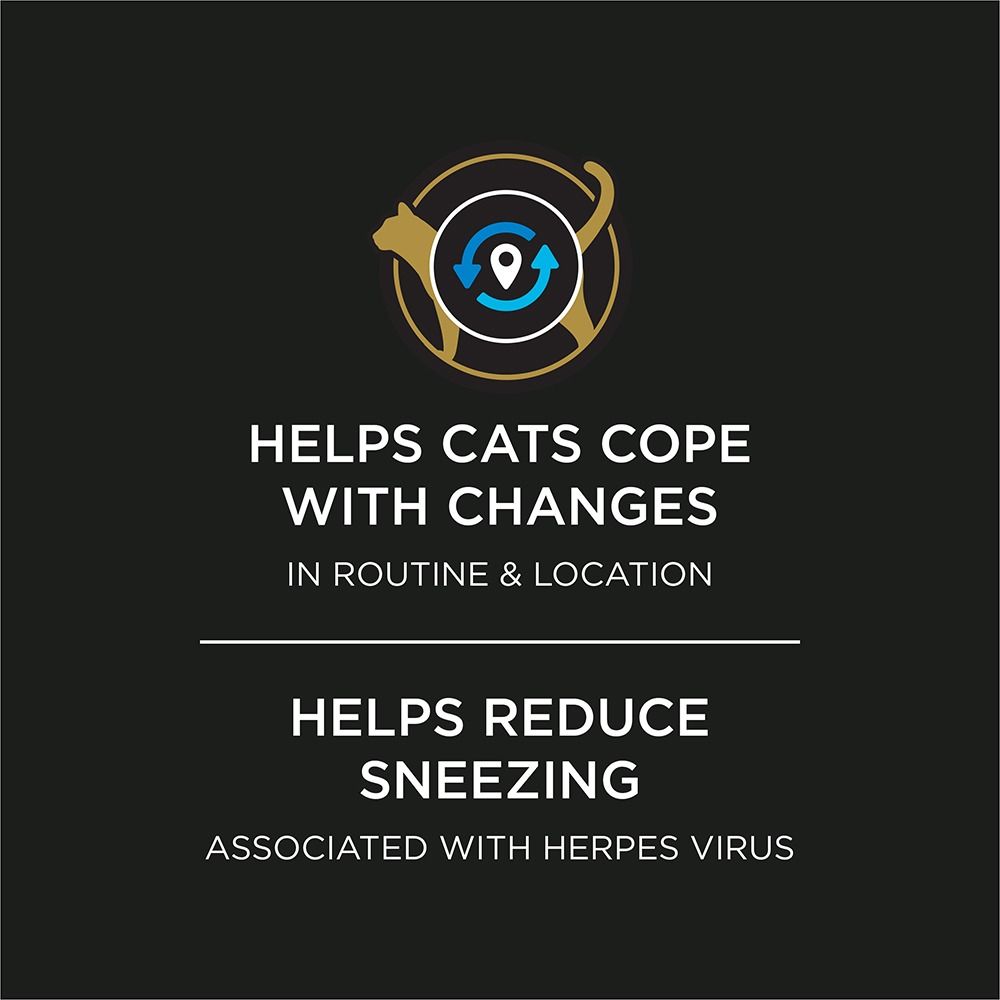 pro-plan-veterinary-supplements-calming-care-feline-helps-cats-cope.jpg
