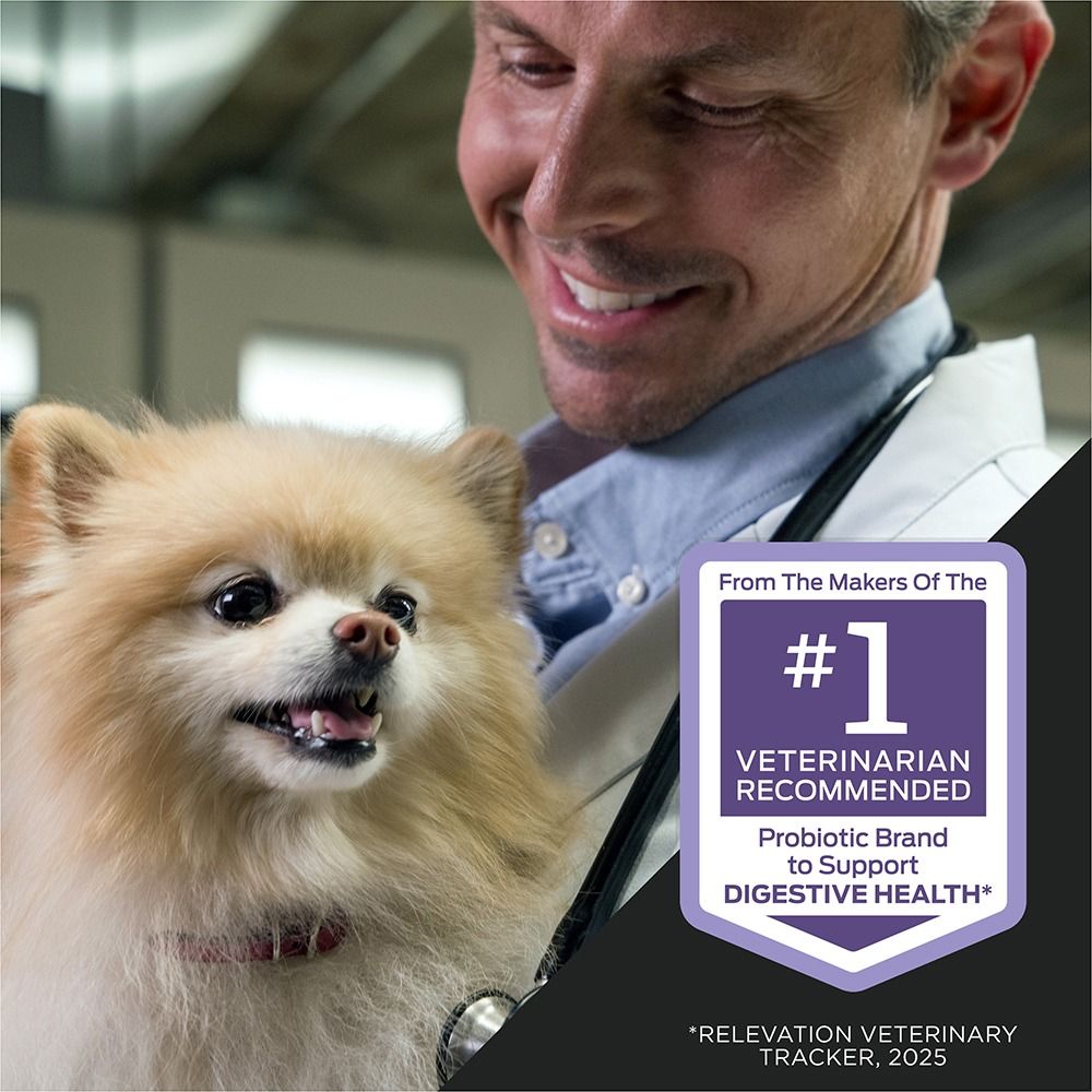 pro-plan-veterinary-supplements-fortiflora-canine-diarrhea-response-kit-vet-recommended.jpg