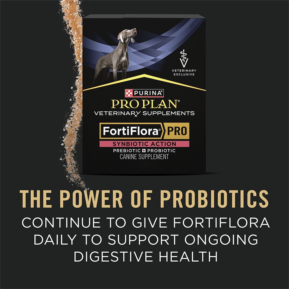 pro-plan-veterinary-supplements-fortiflora-pro-canine-diarrhea-response-kit-power-of-probiotics.jpg