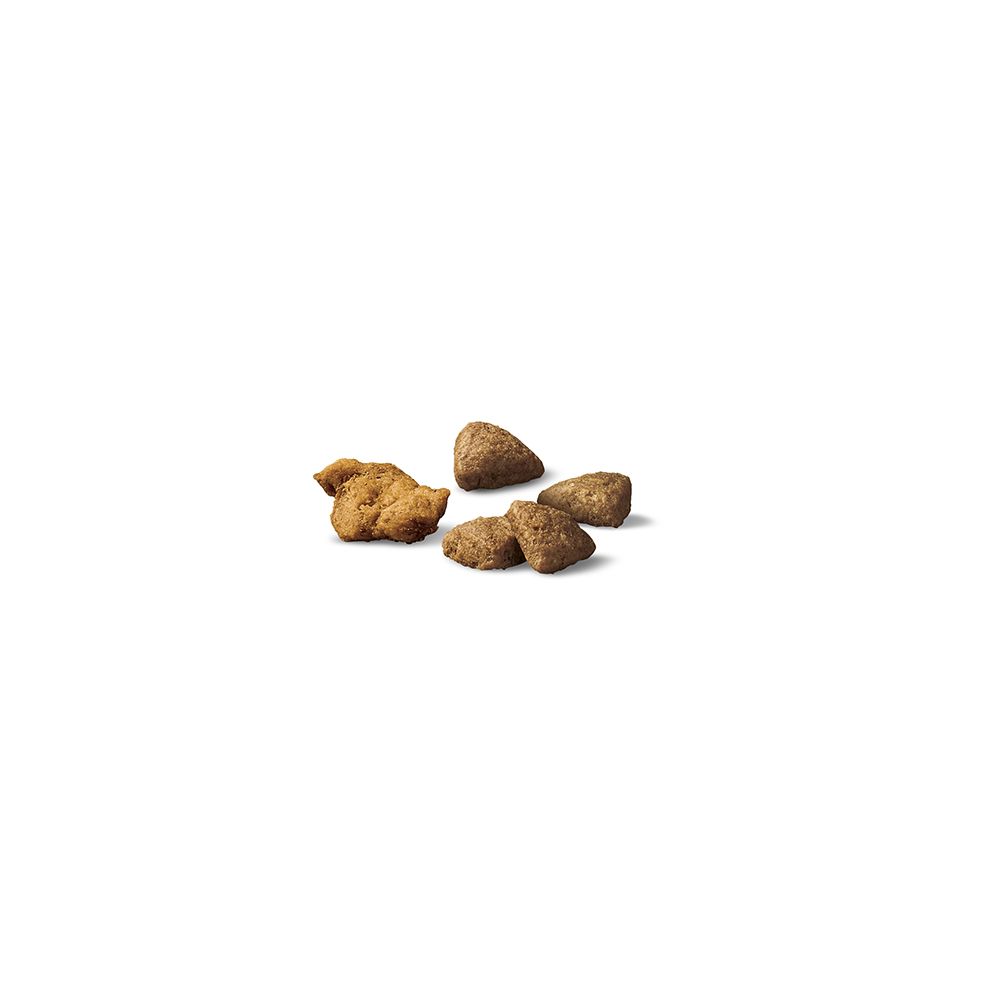 pro_plan_complete_essentials_dry_dog_food_kibble_1.jpg