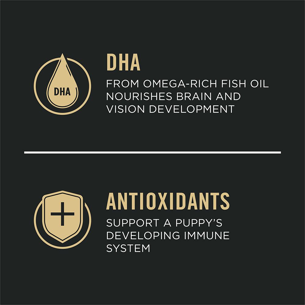 pro_plan_puppy_dry_dog_food_dha_antioxidants.jpg
