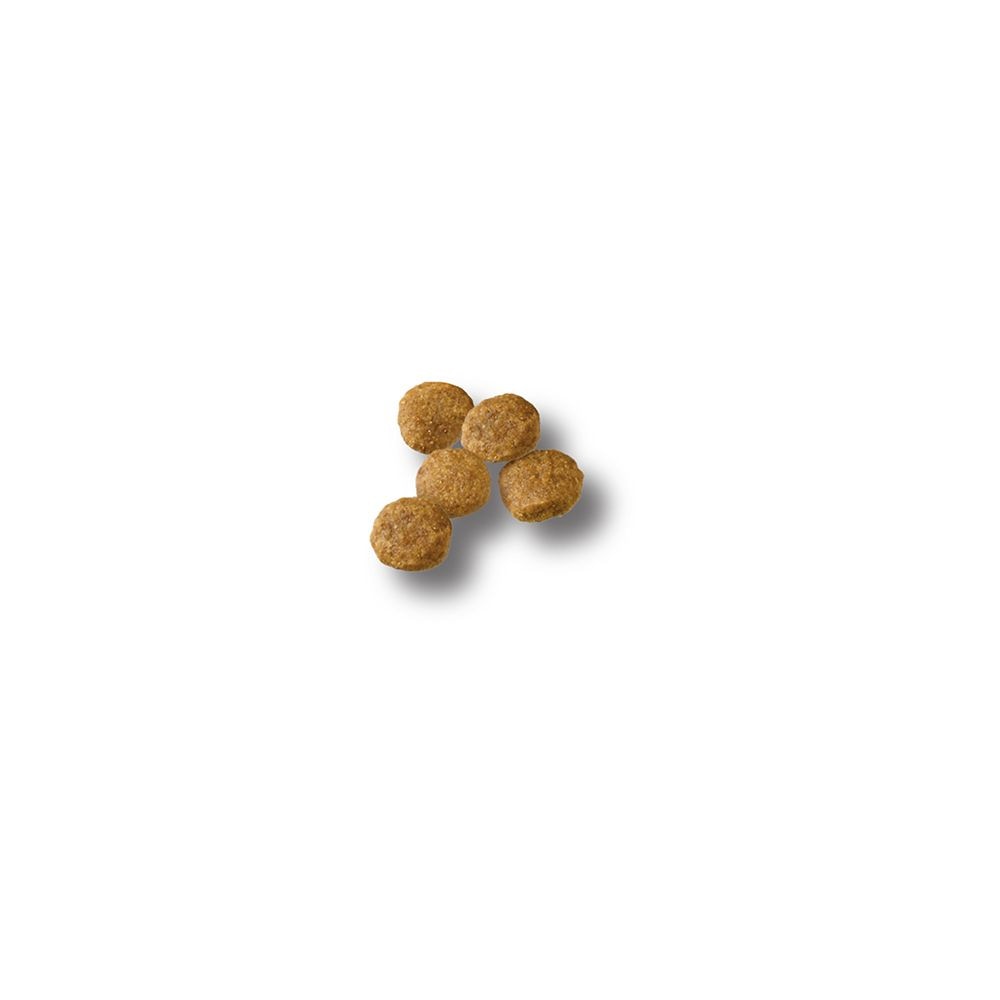 pro_plan_puppy_dry_dog_food_kibble.jpg