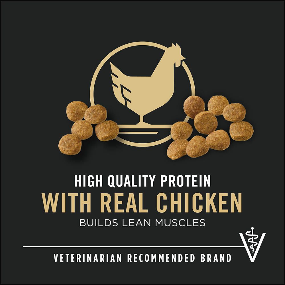 pro_plan_puppy_dry_dog_food_protein_vet_recommended.jpg