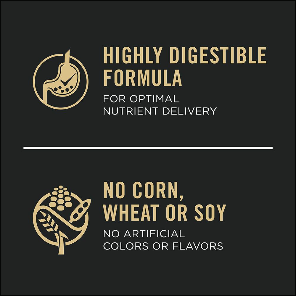 pro_plan_sensitive_skin_stomach_dry_dog_food_digestible_no_corn_wheat_soy.jpg