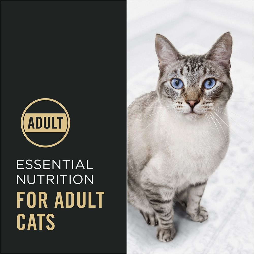 purina-pro-plan-complete-essentials-adult-dry-cat-food-adult-nutrition.jpg