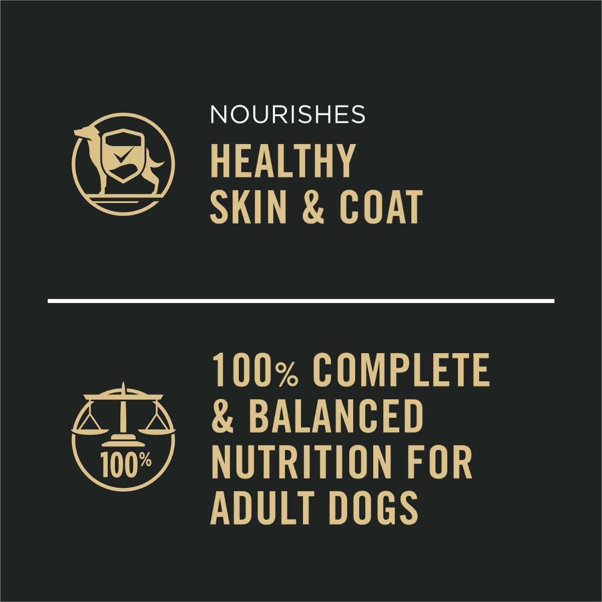 purina-pro-plan-complete-essentials-chicken-beef-vegtables-wet-dog-food-variety-pack-complete-nutrition.jpg