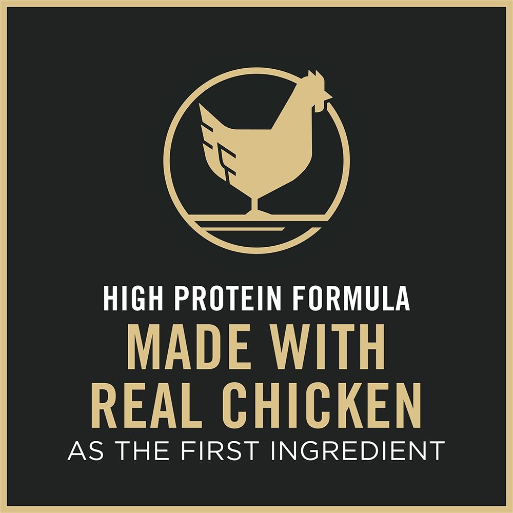 purina-pro-plan-complete-essentials-chicken-rice-adult-dry-cat-food-real-chicken.jpg