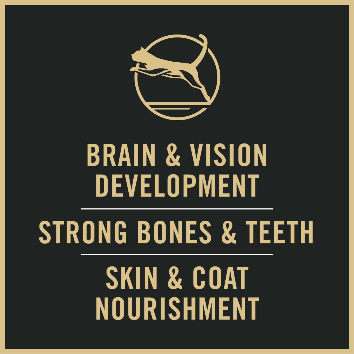 purina-pro-plan-complete-essentials-dry-kitten-food-brain-vision_1.jpg