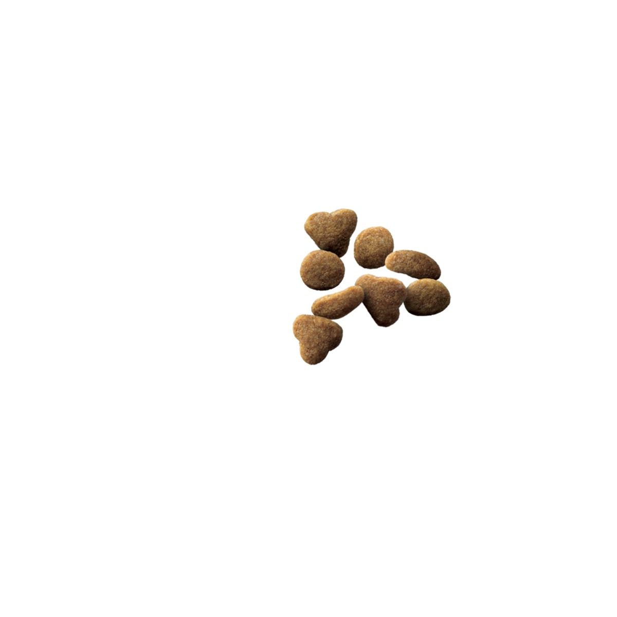 purina-pro-plan-complete-essentials-dry-kitten-food-kibble_1.jpg