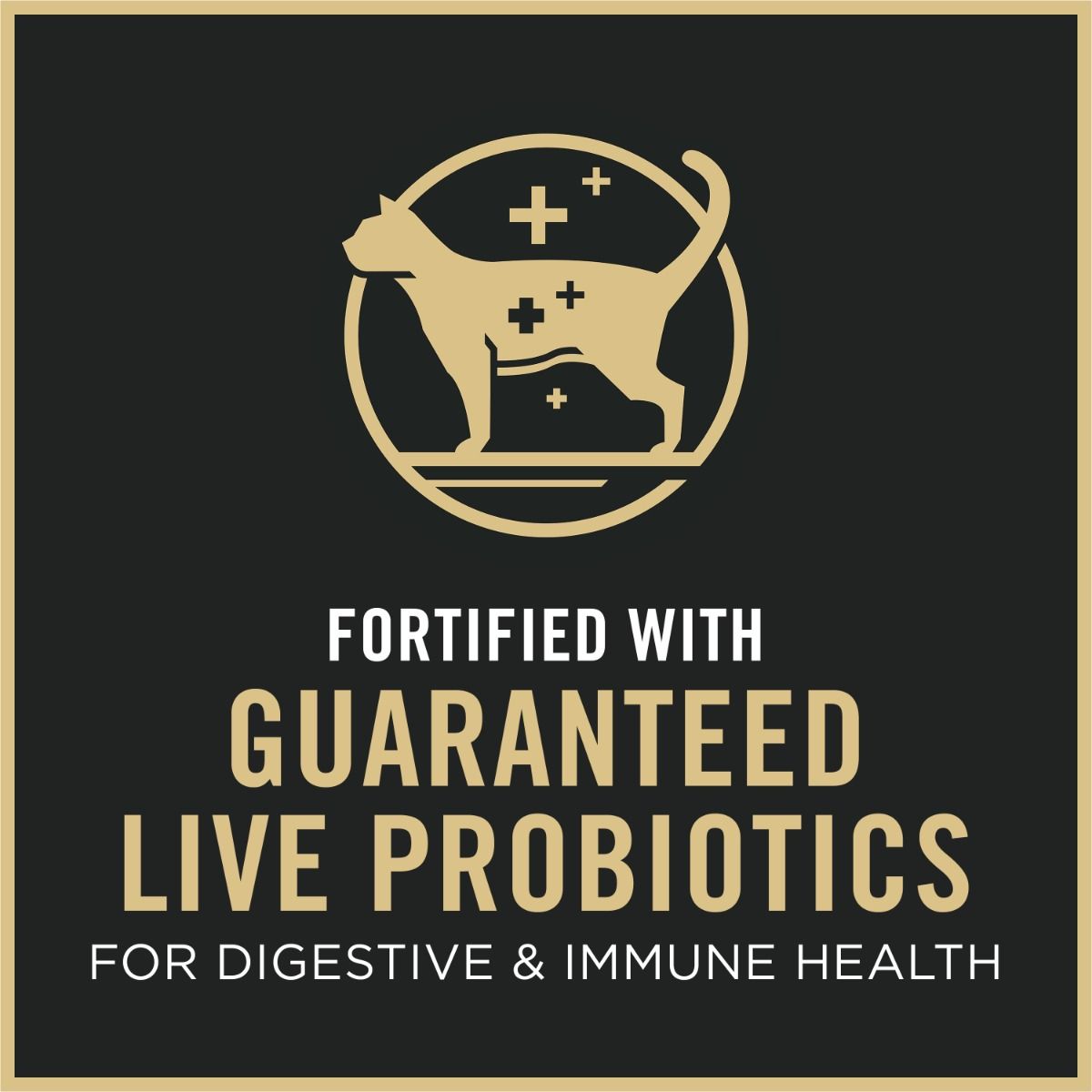 purina-pro-plan-complete-essentials-dry-kitten-food-probiotics_1.jpg