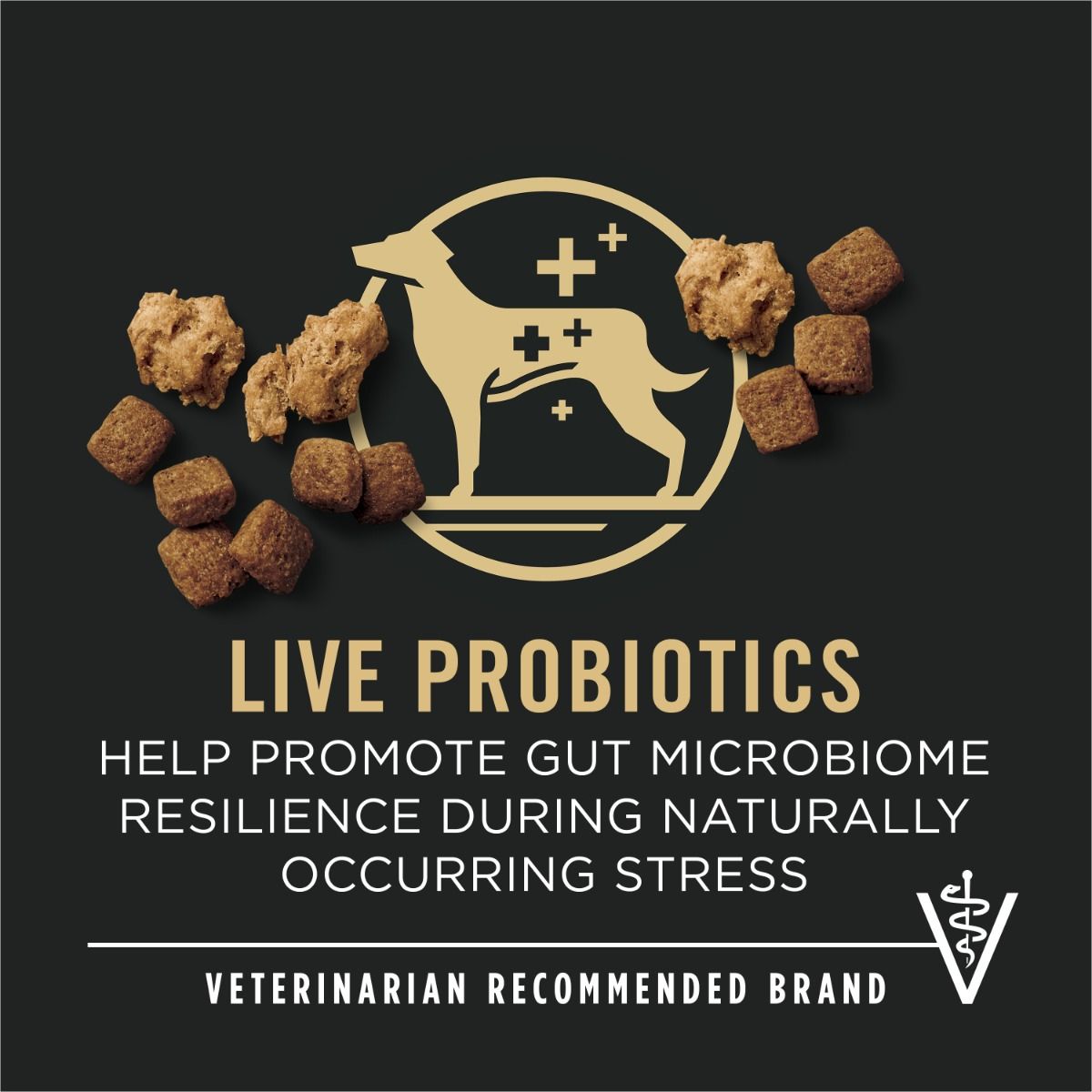 purina-pro-plan-complete-essentials-shredded-chicken-rice-dry-dog-food-live-probiotics.jpg