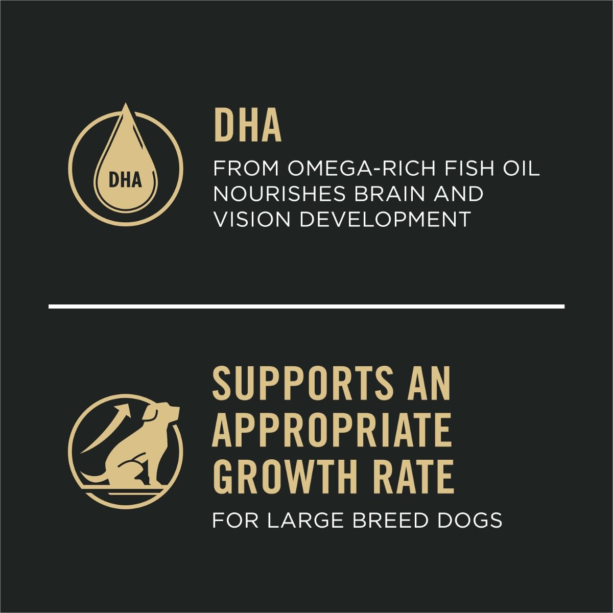 purina-pro-plan-sensitive-skin-stomach-development-large-breed-salmon-rice-dry-puppy-food-dha.jpg