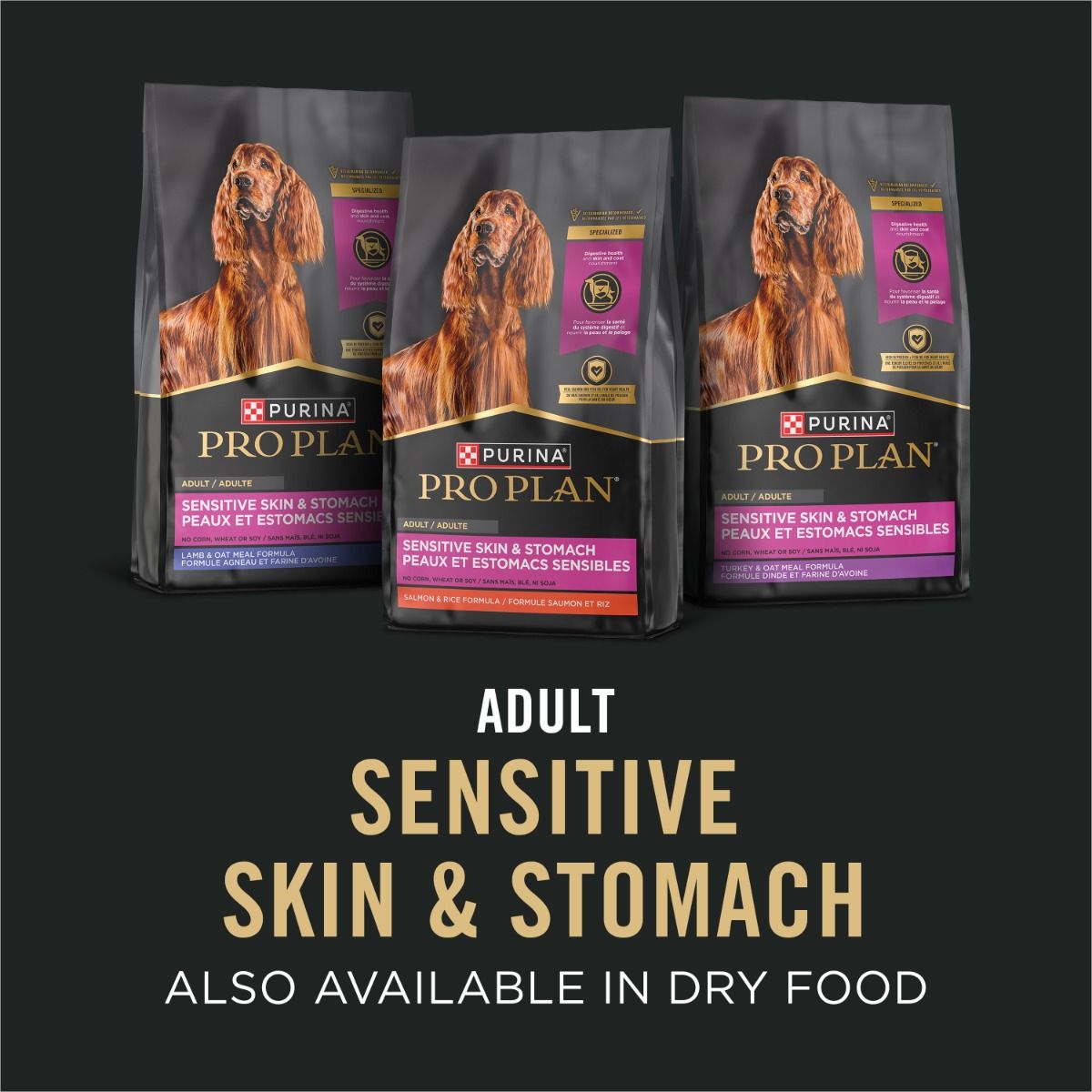 purina-pro-plan-sensitive-skin-stomach-lamb-oatmeal-wet-dog-food-available-in-dry.jpg