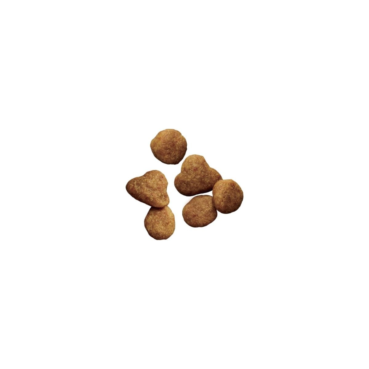 purina-pro-plan-sensitive-skin-stomach-salmon-rice-dry-cat-food-kibble.jpg