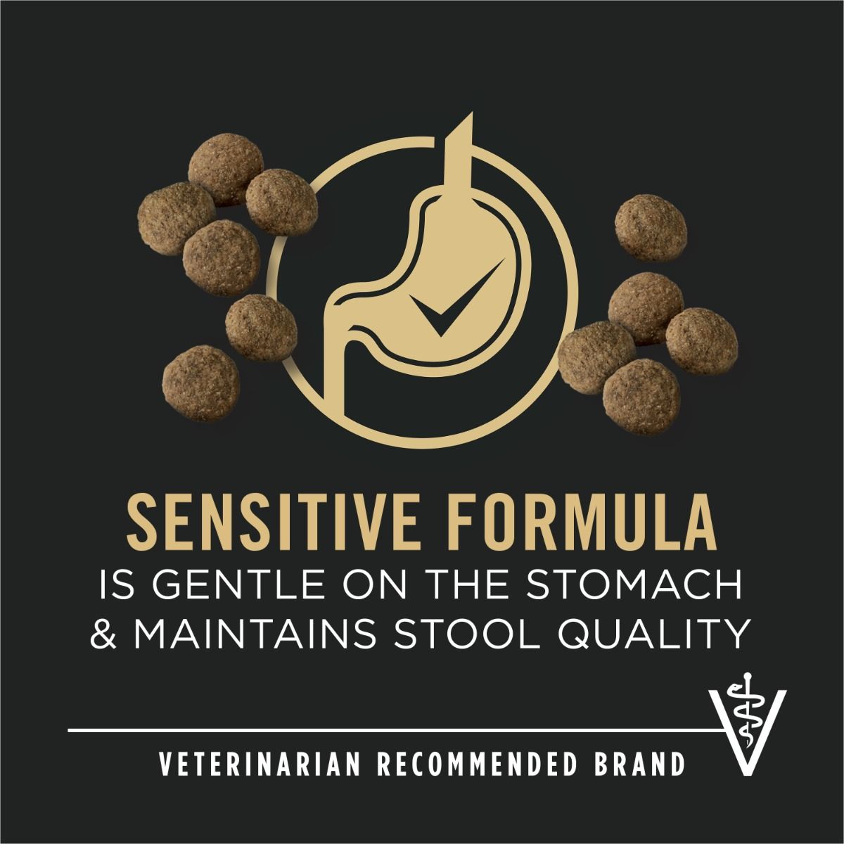 purina-pro-plan-sensitive-skin-stomach-salmon-rice-large-breed-dry-dog-food-gentle.jpg