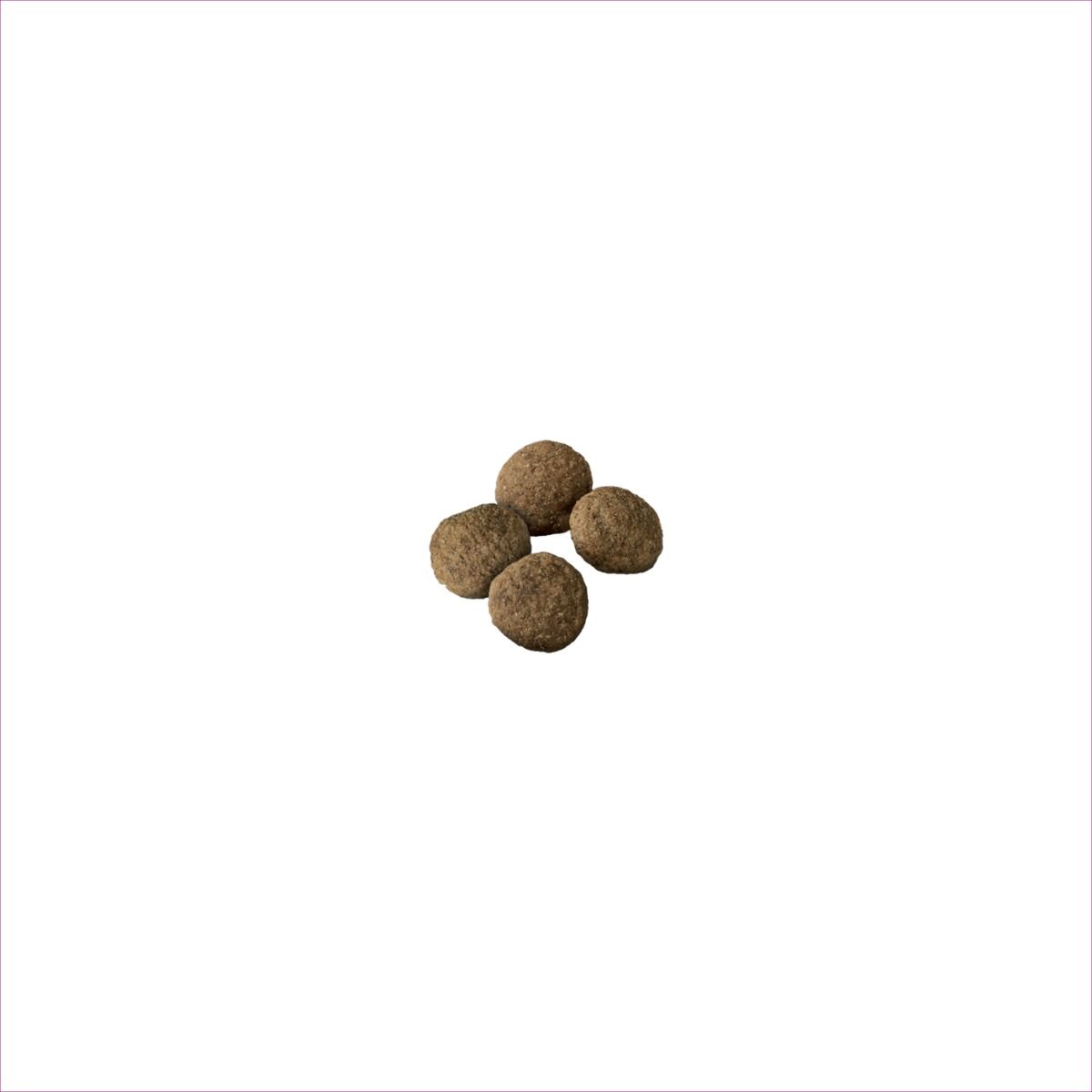 purina-pro-plan-sensitive-skin-stomach-salmon-rice-large-breed-dry-dog-food-kibble.jpg