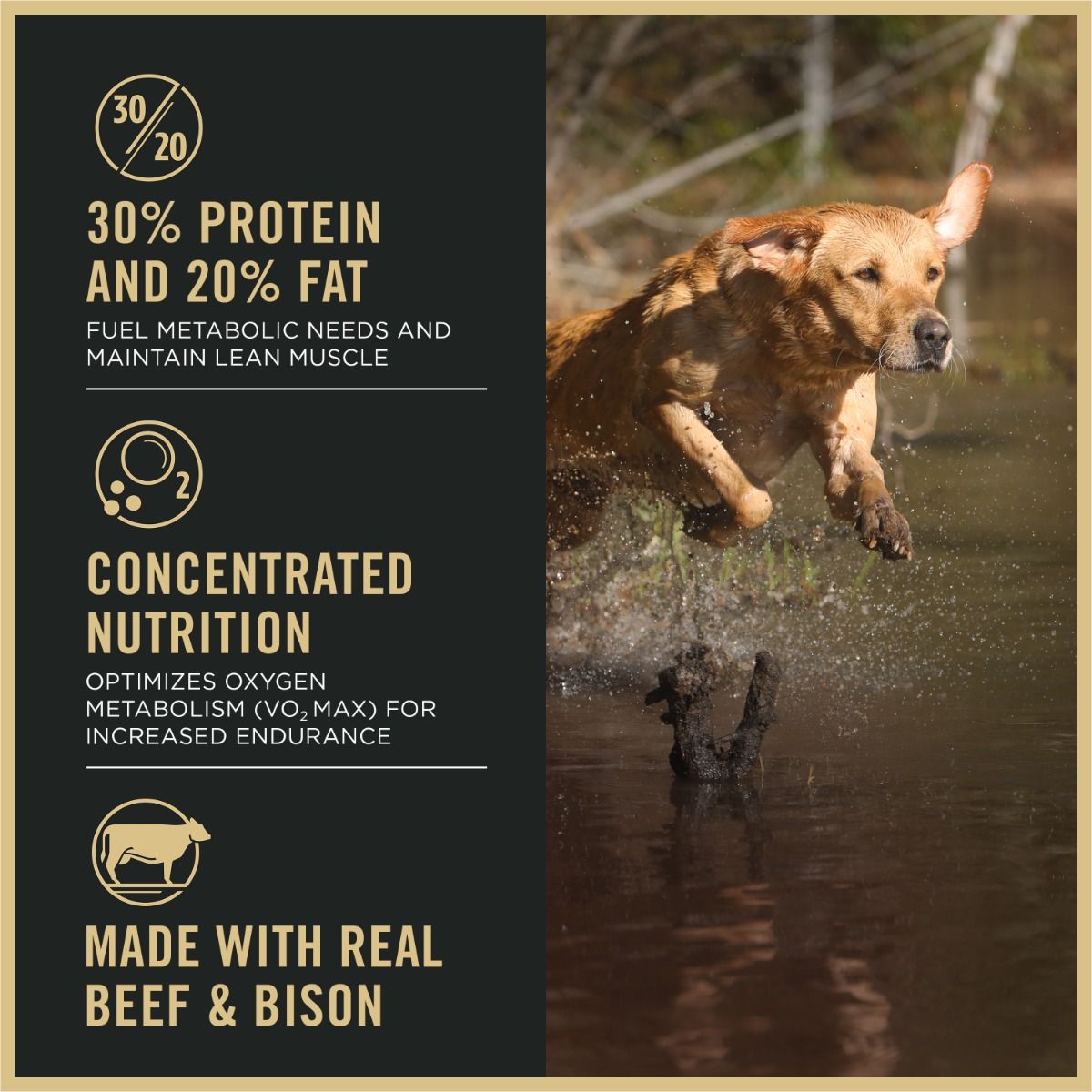 purina-pro-plan-sport-performance-30-20-beef-bison-dry-dog-food-balance.jpg
